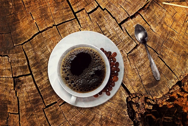 Café de l’Arquitecte: Tradición Mediterránea en un Espacio Histórico